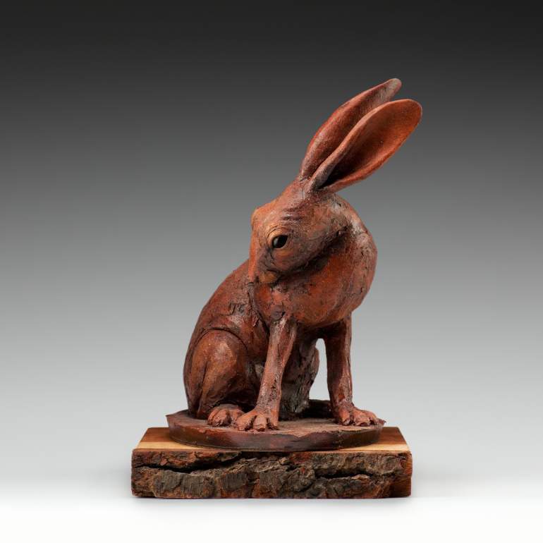 Carolyn Dilcher-Stutz